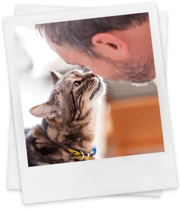 man and cat touching noses together