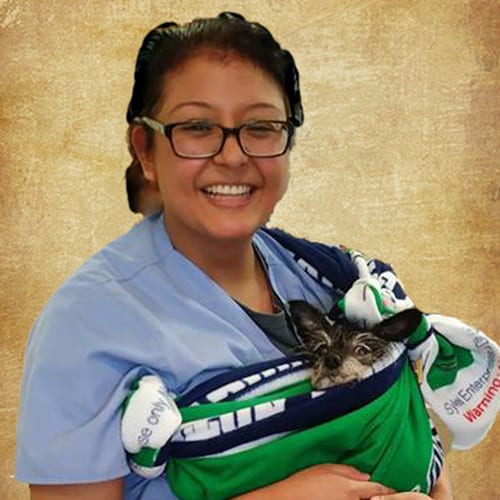 lubia Veterinary Staff in Dyer: Lubia Rodriguez
