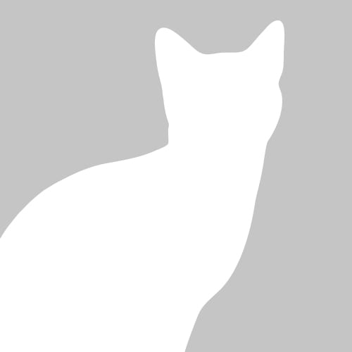 catplaceholder Veterinary Staff in Dyer: Meisha
