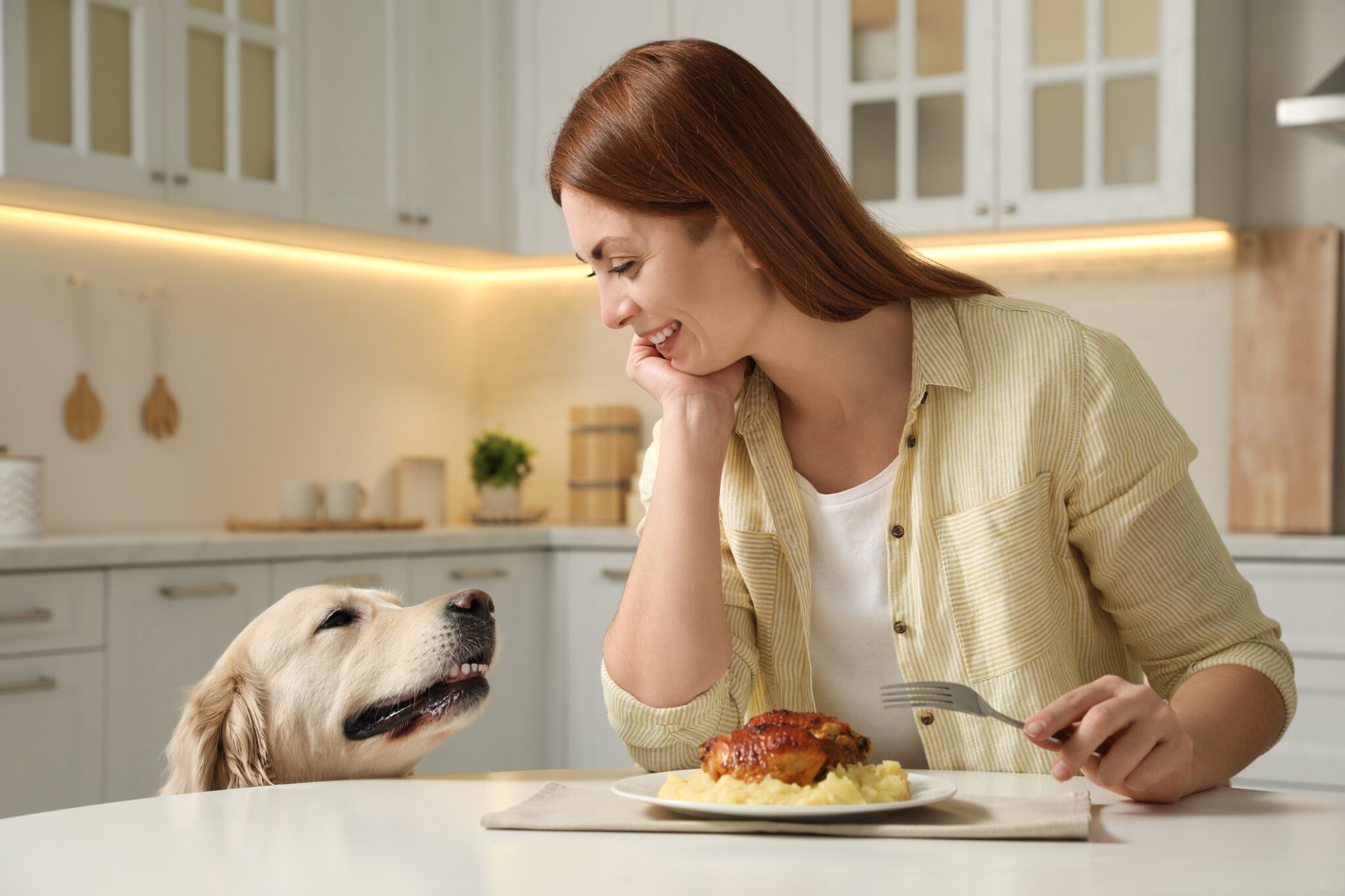 Thanksgiving Foods You Need to Keep Away from Your Pet dyer indiana