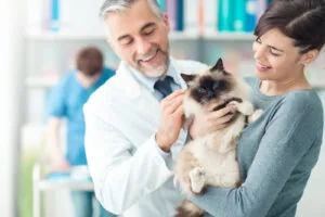 female-pet-owner-holding-cat-while-vet-pets-it-at-clinic